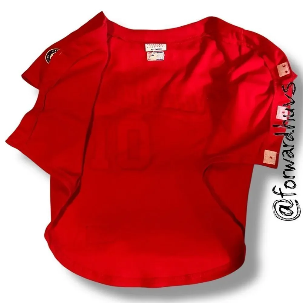 Washington Nationals Dog Jersey – Large – MLB Merchandise by Pets First Inc.